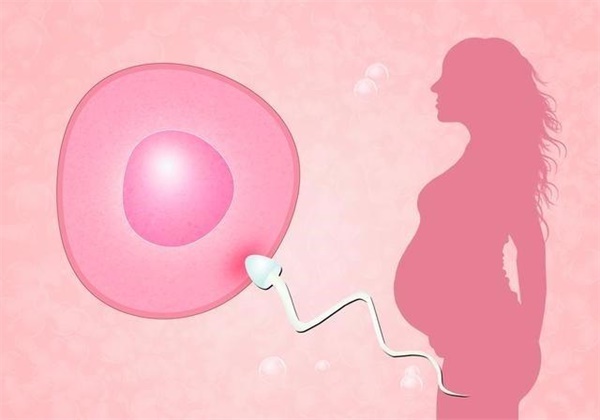 输卵管堵塞做试管婴儿的话，需要注意什么